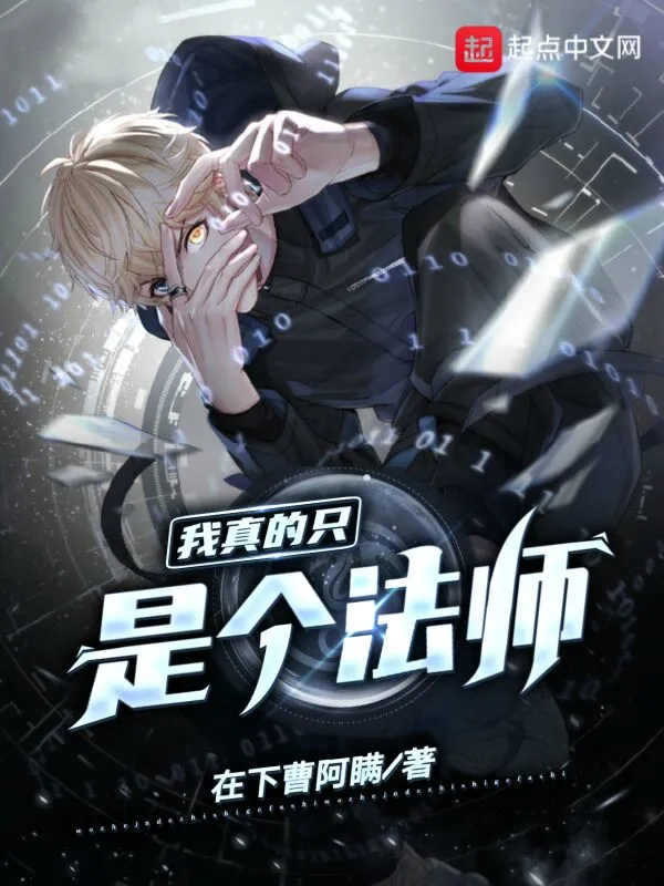 我真的只是个法师！