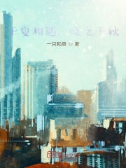 于夏相遇，晓之于秋在线阅读