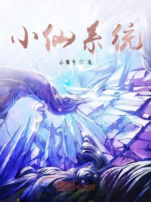 小仙系统