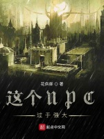 这个NPC过于强大在线阅读