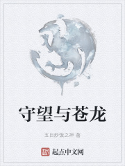 守望与苍龙在线阅读