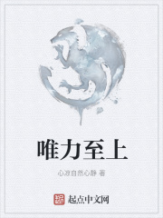 唯力至上在线阅读