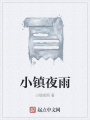 小镇夜雨在线阅读