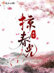 掠春光在线阅读