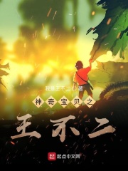 神奇宝贝之王不二在线阅读