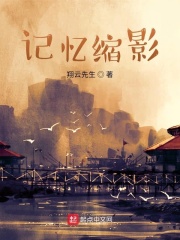 记忆缩影在线阅读