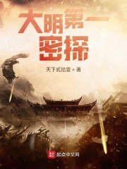 大明第一密探在线阅读
