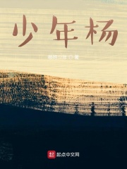 恰似少年杨在线阅读