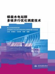 梯级水电站群多核并行优化调度技术