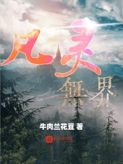 凡灵无界