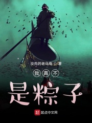 我真不是粽子在线阅读