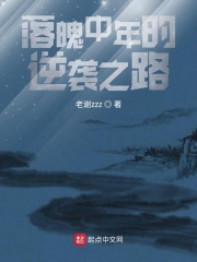 落魄中年的逆袭之路在线阅读