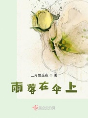 雨落在伞上在线阅读