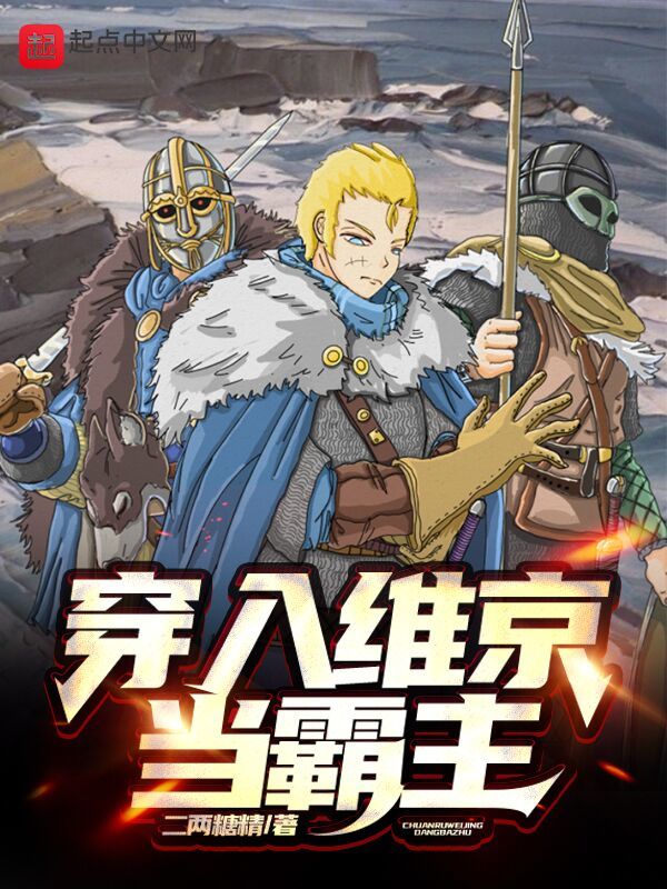 穿入维京当霸主在线阅读
