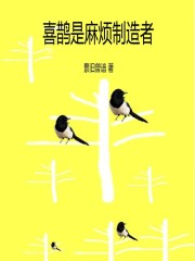 喜鹊是麻烦制造者在线阅读