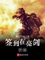 签到在亮剑开始在线阅读