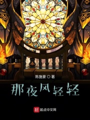 那夜风轻轻在线阅读