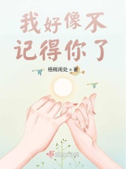 我好像不记得你了在线阅读