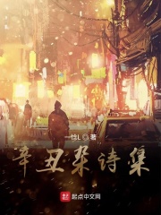 辛丑杂诗集在线阅读