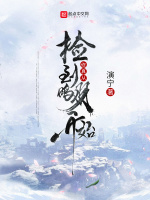 修真从捡到鹏羽开始封面