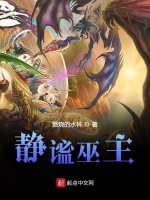 超弦巫师封面