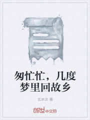 匆忙忙，几度梦里回故乡在线阅读