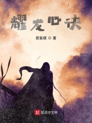 耀龙心诀在线阅读