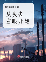 从失去右眼开始在线阅读