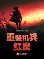 重装机兵，红星在线阅读