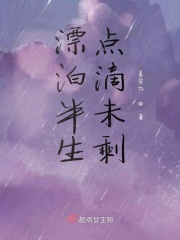 漂泊半生点滴未剩