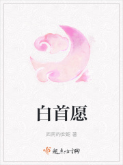 白首愿在线阅读