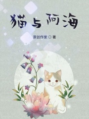猫与阿海在线阅读
