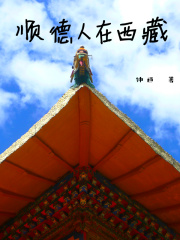 顺德人在西藏在线阅读