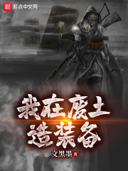 我在废土造装备在线阅读
