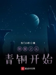 联盟之从青铜开始在线阅读