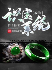 我的识宝系统在线阅读