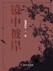 风月：镜中彼岸在线阅读