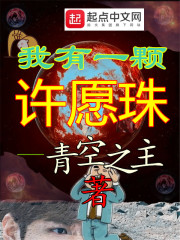 我有一颗许愿珠在线阅读