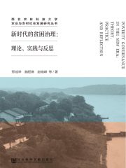 新时代的贫困治理：理论、实践与反思