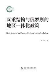 双重结构与俄罗斯的地区一体化政策在线阅读