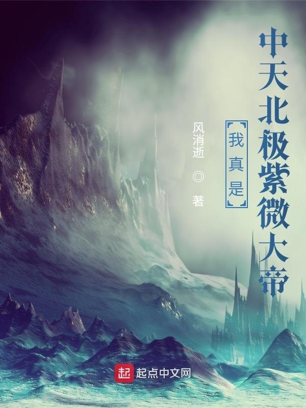 我真是中天北极紫微大帝在线阅读