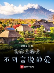 我的密码是不可言说的爱在线阅读