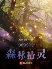 最后的森林精灵