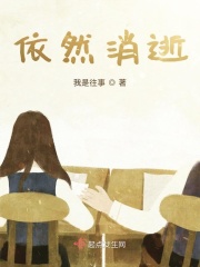 依然消逝在线阅读