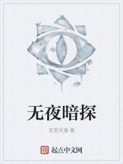 无夜暗探