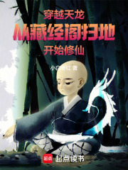 穿越天龙：从藏经阁扫地开始修仙
