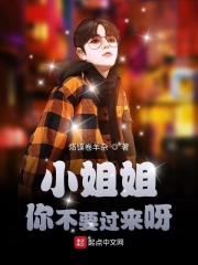小姐姐你不要过来呀在线阅读