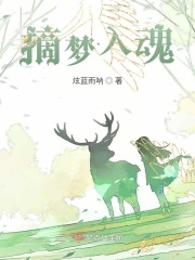 摘梦入魂在线阅读