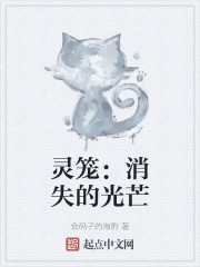 灵笼：消失的光芒