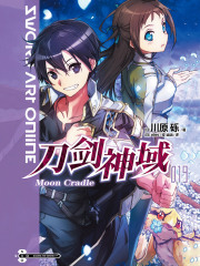 刀剑神域19